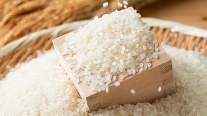 【コメ高騰】日本が韓国産の米を輸入、一般消費者向けとしては統計開始以来初　オンラインサイトでは10キロ9000円で販売…10日で売り切れ